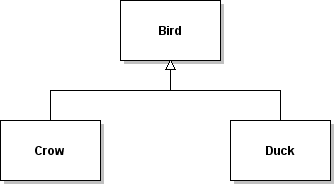 UML Diagram of birds